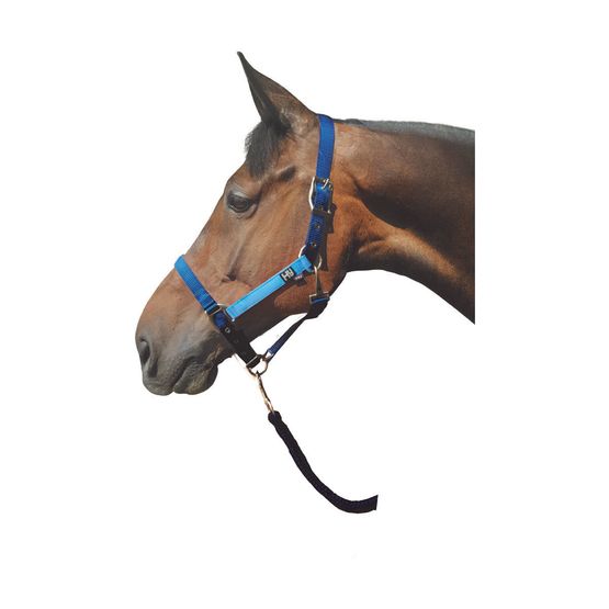 Hy Metallic Look Head Collar - Dark Blue/Light Blue