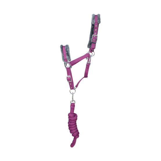 Hy Sport Active Head Collar &amp; Lead Rope - Port Royal