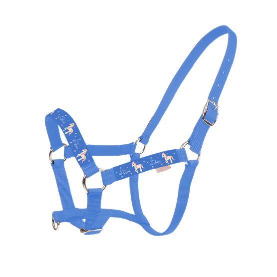 Little Rider Star in Show Head Collar and Leadrope - Regatta Blue - Cob