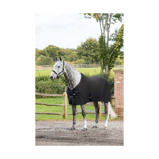 LeMieux Thermo-Cool Rug - Black