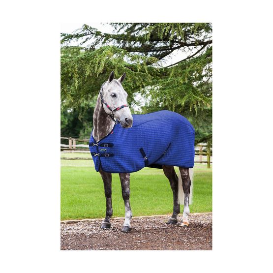 LeMieux Thermo-Cool Rug - Benetton Blue