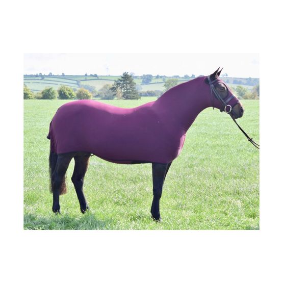 Belvoir Rug Company Honsie Life - Burgundy with Black Trim