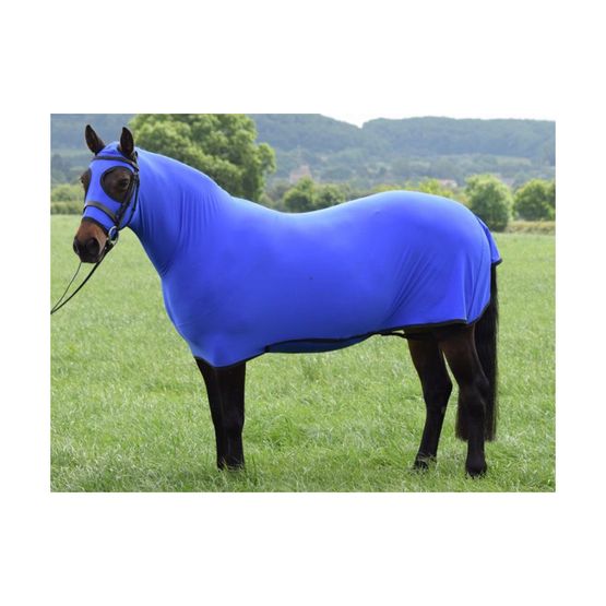 Belvoir Rug Company Honsie Life - Royal Blue with Black Trim