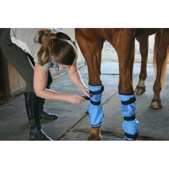 Equi Cool Down Equine Leg Wrap - Blue - One Size