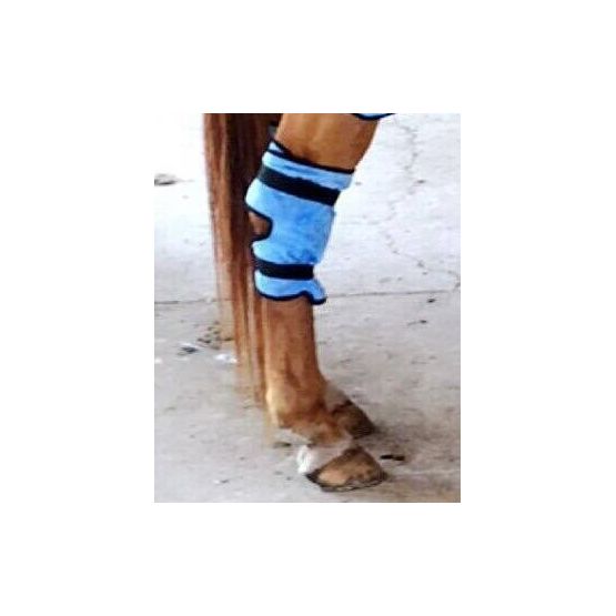 Equi Cool Down Hock Wrap - Blue - One Size