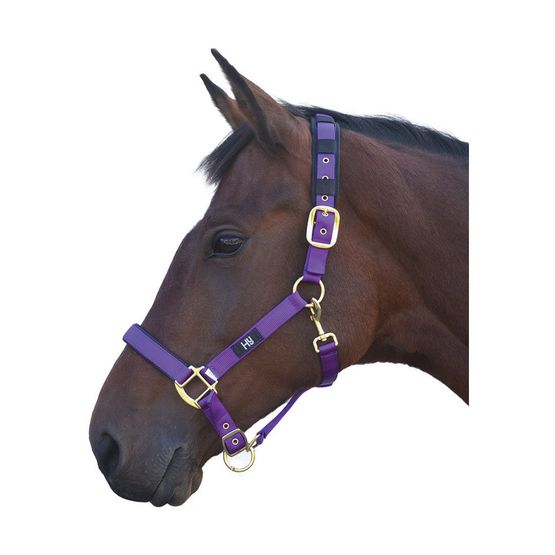 Hy Deluxe Padded Head Collar - Purple