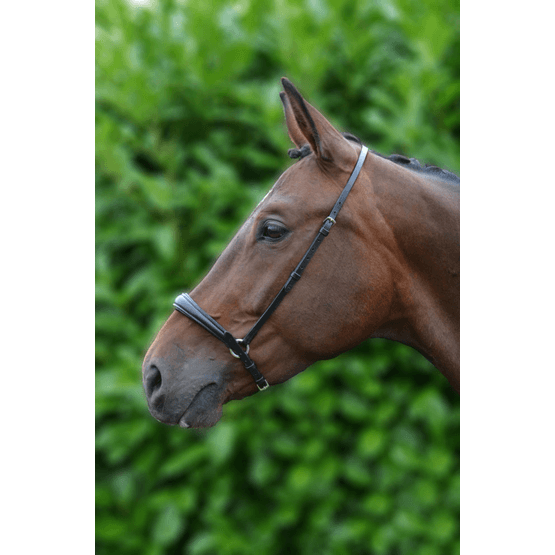 Hy Padded Drop Nose Band - Brown