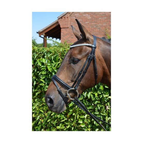 Hy Diamond Flash Bridle with Rubber Reins