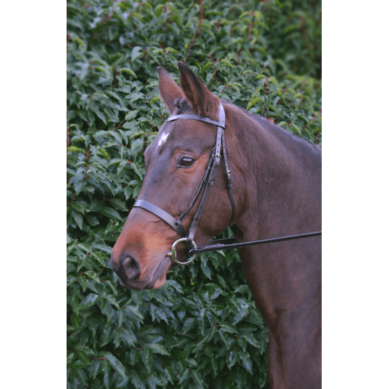 Hy Hunter Bridle with Rubber Grip Reins - Brown