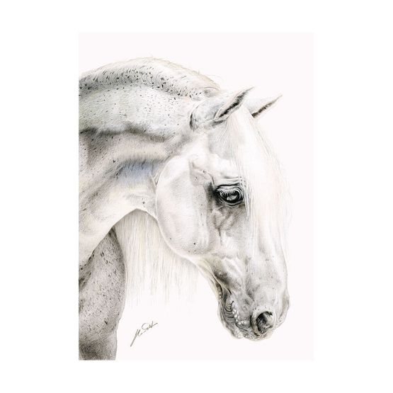 Deckled Edge Eureka! A3 Print - Flea Bitten Grey