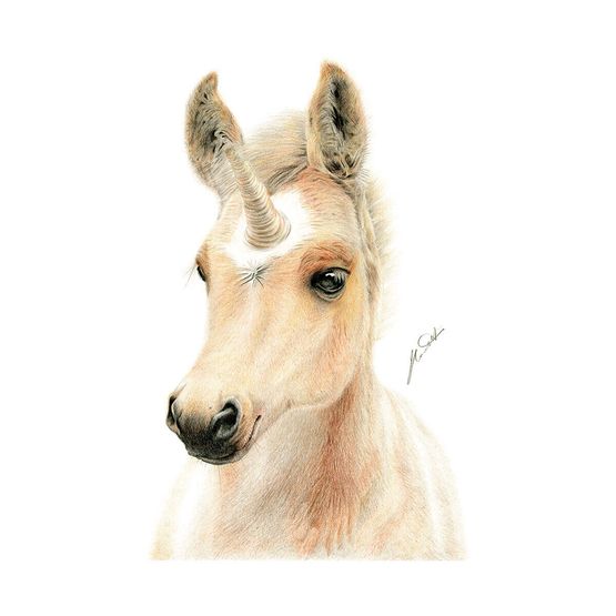 Deckled Edge Eureka! A3 Print - Uni-Foal