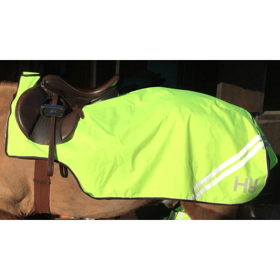 HyVIZ Reflector Exercise Sheet