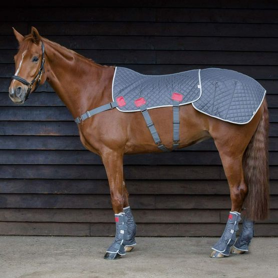 Equilibrium Therapy Magnetic Back Pad &amp; Quarters Extension