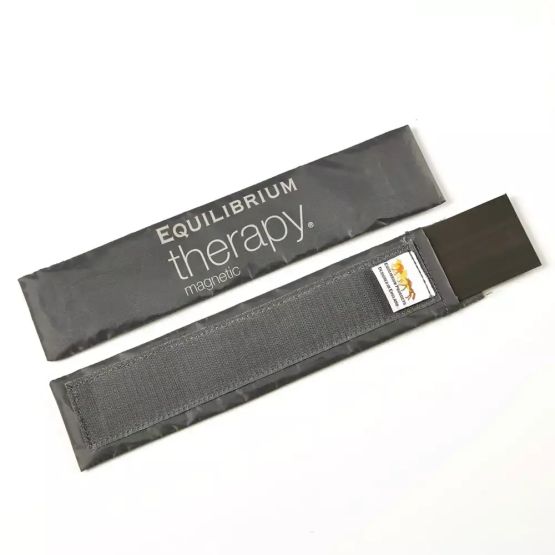 Equilibrium Therapy Spare Vitaflex Magnets