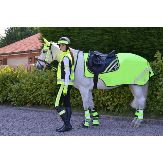 HyVIZ Reflector Mesh Exercise Sheet - Yellow