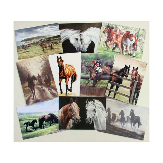 Caroline Cook Equestrian Cards
