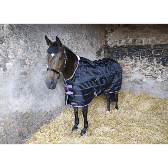 StormX Original 200 Stable Rug - Black/Purple/Yellow