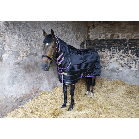 StormX Original 200 Combi Stable Rug - Black/Purple/Yellow