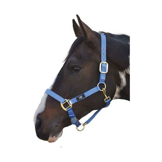 Hy Head Collar - Blue
