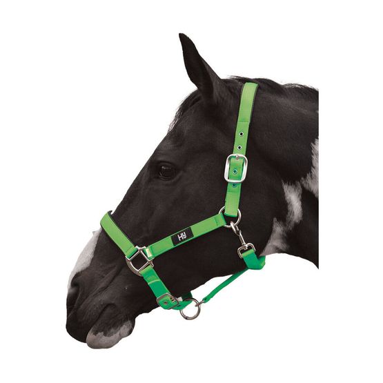 Hy Equestrian Grand Prix Head Collar - Hot Green