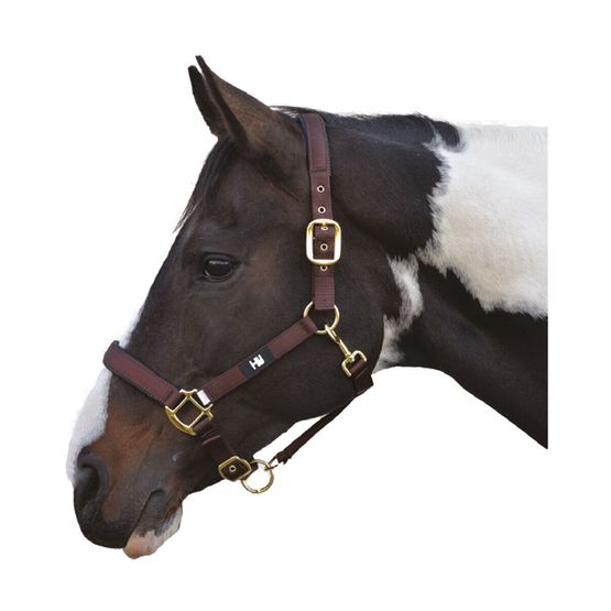 Hy Equestrian Grand Prix Head Collar - Chocolate Brown