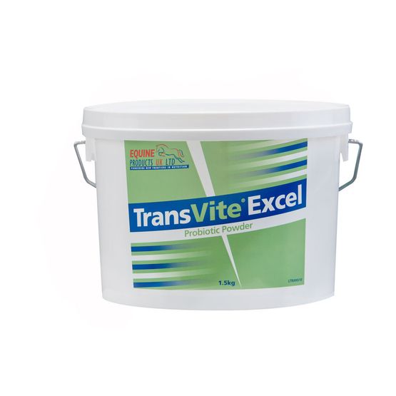 Transvite Excel