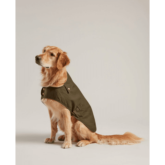 Joules Wax Green Dog Coat