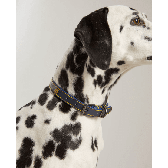 Joules Leather Dog Collar - Navy