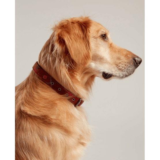 Joules Heritage Tweed Leather Dog Lead - Red - Large