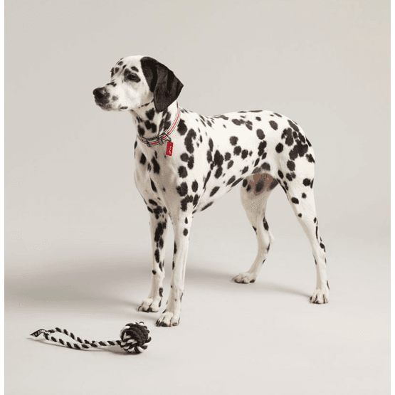 Joules Rubber and Rope Dog Toy