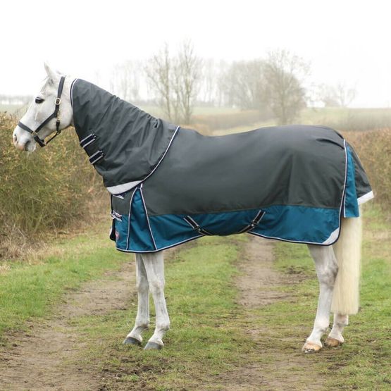 DefenceX System 50 Turnout Rug with Detachable Neck Cover - Dark Grey/Dark Teal