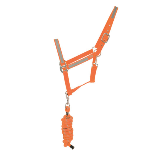 Reflector Head Collar and Lead Rope by Hy Equestrian - Orange