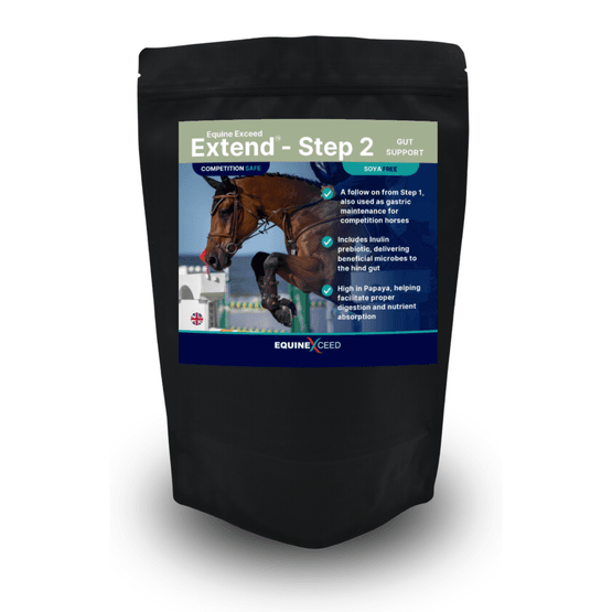Equine Exceed Gastro Extend – Step 2