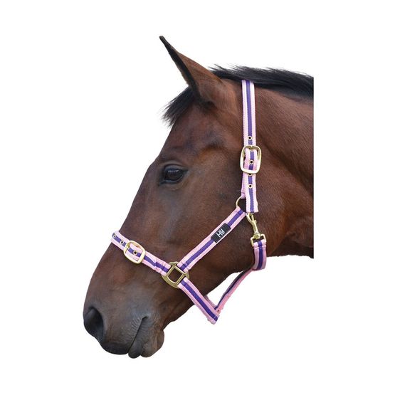 Hy Soft Webbing Head Collar - Pink/Purple