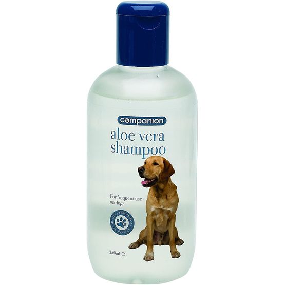 Companion Aloe Vera Shampoo - 250ml