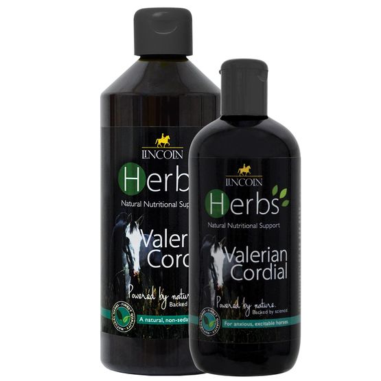 Lincoln Herbs Valerian Cordial