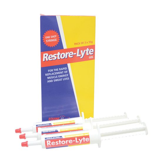 Equine Ion Salt Restore-Lyte Gel