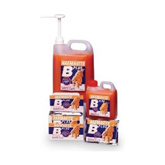Equine HaemaVite B Plus Blood Supplement